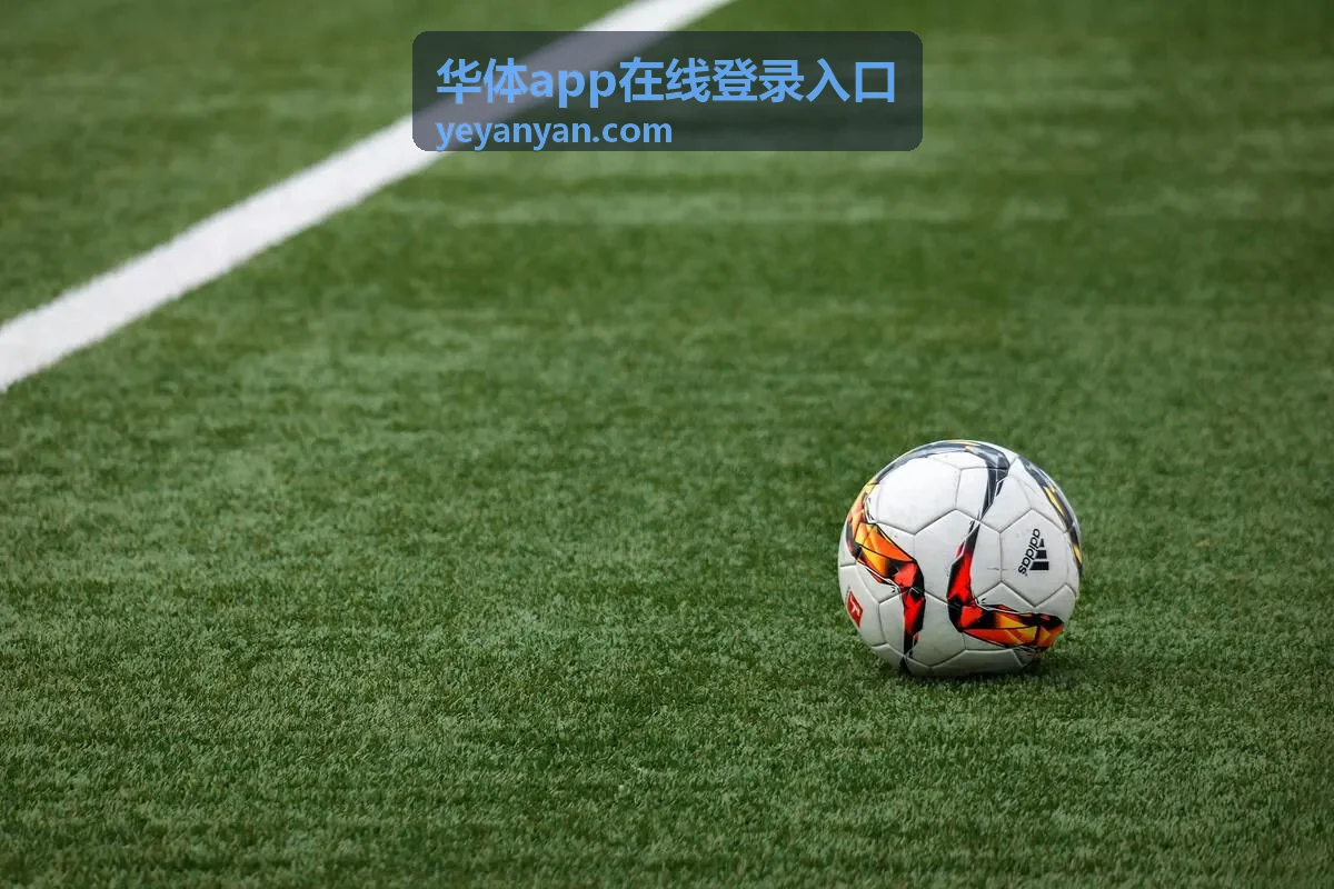 华体app在线登录入口登录后功能栏目配图